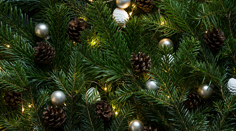 Christmas Light Displays in Madison, Wisconsin